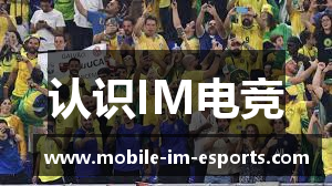 认识IM电竞
